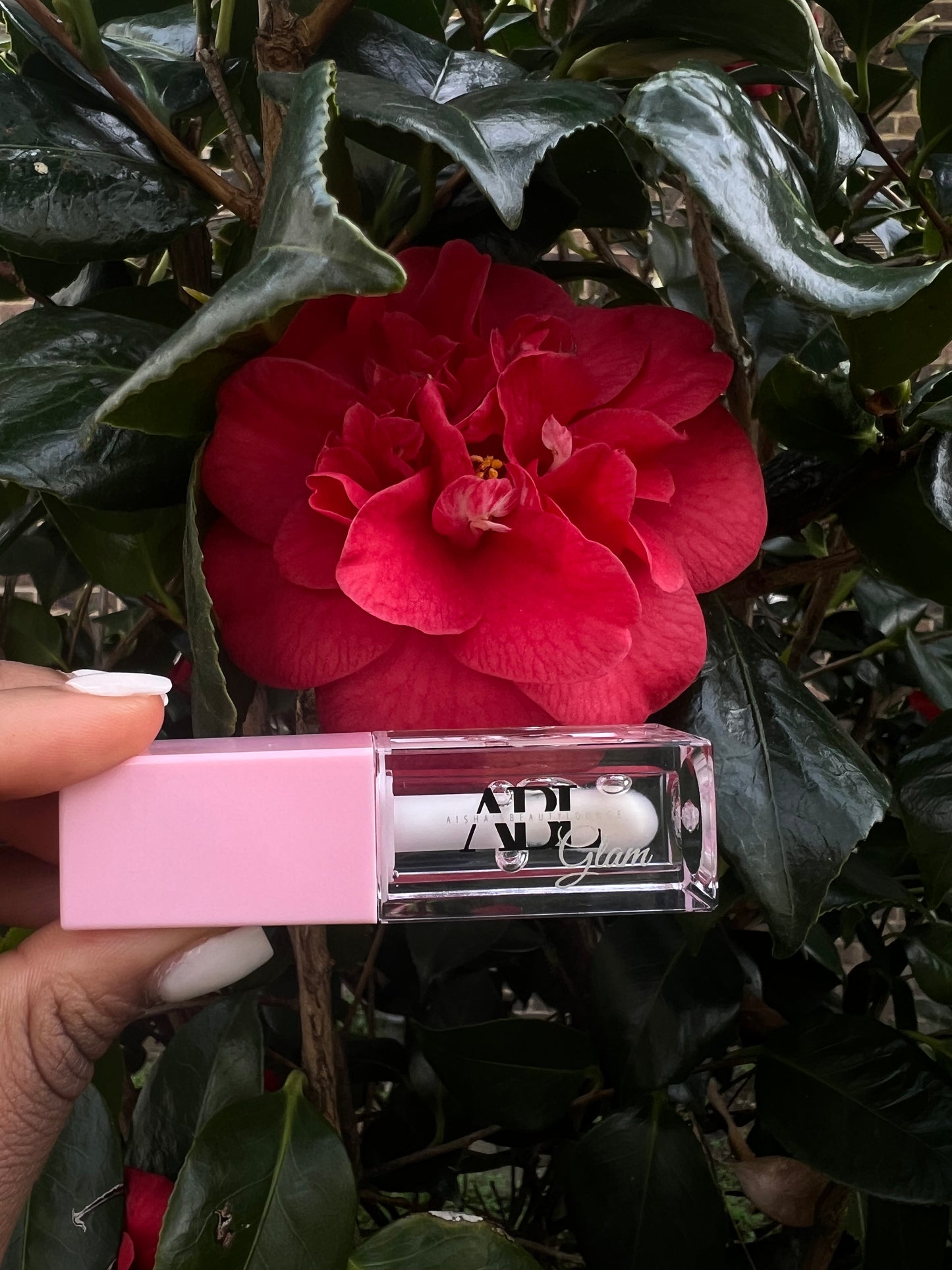 Clear Lip Oil