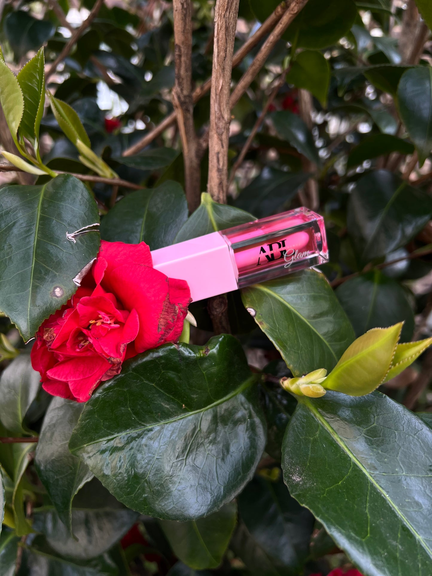 Bubble Gum Plumping Lip Oil